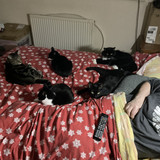 IMG 0206