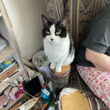 IMG 0210