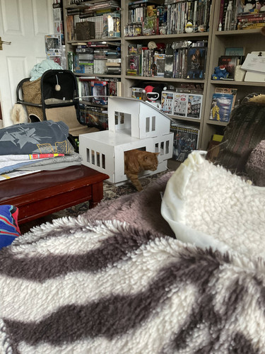 IMG 0257