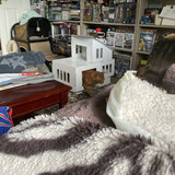 IMG 0257