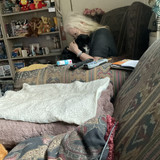 IMG 0203