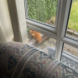 IMG 0280