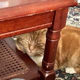 IMG 0228