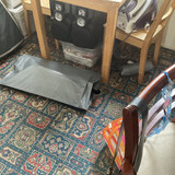 IMG 0240