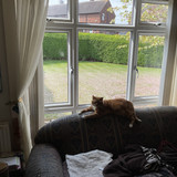 IMG 0209