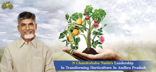 N Chandrababu Naidu's Leadership In Transforming Horticulture In Andhra Pradesh.jpg
