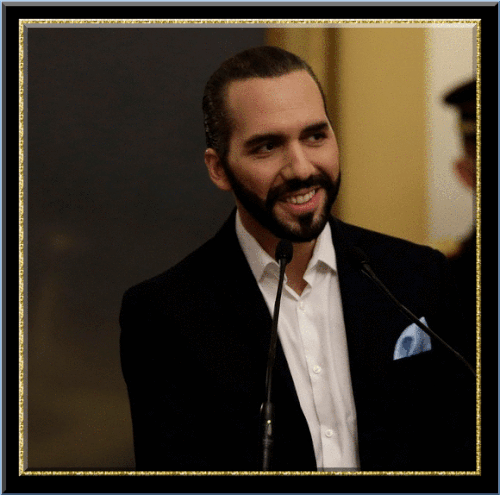 169701846812297324 (5).gif