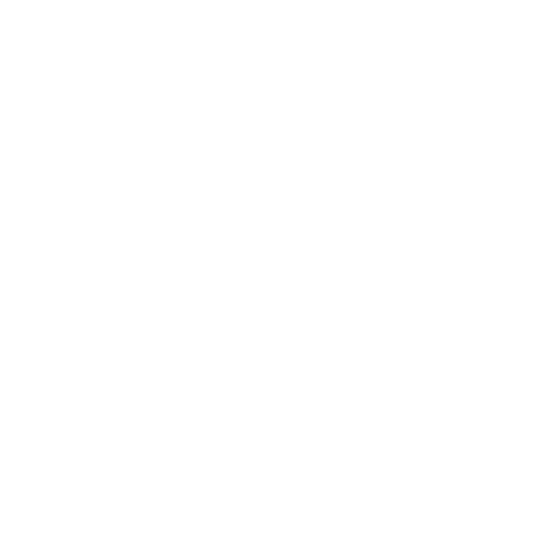 Devan digital logo white.png