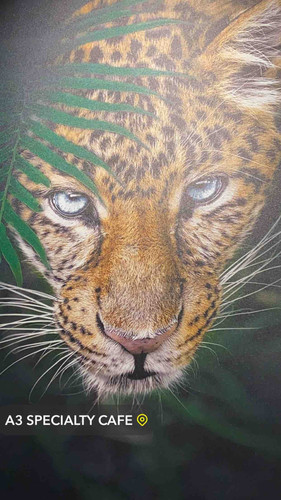 E8BB2063 445E 44E7 9172 6D9D7AFABBD4.jpg