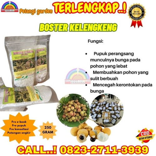 HARGA PABRIK! H.Tovix CALL 0823-2711-3939 Jual Pupuk Pembuahan Kelengkeng Ndeso ke Kebumen-Ambal-Kai.jpg
