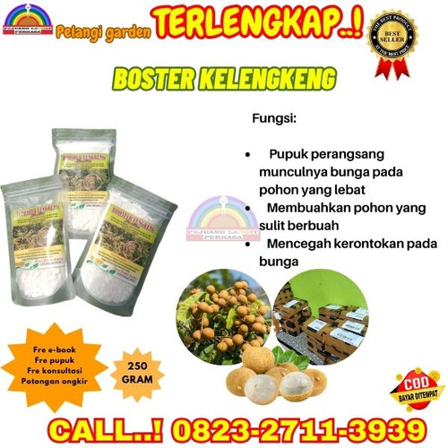 LANGSUNG BUAH ! H.Tovix CALL 0823-2711-3939 Jual Pupuk Pembuahan Kelengkeng Terbaik ke Kebumen-Ambal.jpg