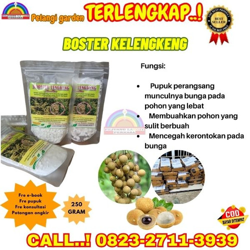 100% GARANSI! H.Tovix CALL 0823-2711-3939 Jual Pupuk Pembuahan Kelengkeng Nusantara ke Kebumen-Ambal.jpg