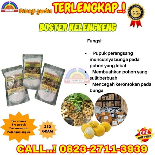 TANGAN PERTAMA! H.Tovix CALL 0823-2711-3939 Jual Obat Kelengkeng Biar Cepat Berbuah ke Kebumen-Ambal.jpg