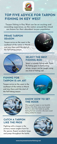 Top Five Advice for Tarpon Fishing in Key West (1).jpg