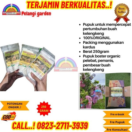 TERPERCAYA! H.Tovix CALL 0823-2711-3939 Jual Pupuk Pembuahan Kelengkeng Normal ke Kebumen-Ambal-Enta.jpg