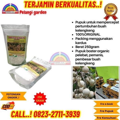 LANGSUNG SUPPLIER! H.Tovix CALL 0823-2711-3939 Jual Pupuk Pembuahan Kelengkeng Di Polybag ke Kebumen.jpg