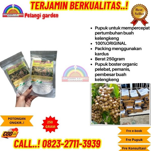 BISA COD! H.Tovix CALL 0823-2711-3939 Jual Pupuk Pembuahan Kelengkeng Nanas ke Kebumen-Ambal-Dukuhre.jpg