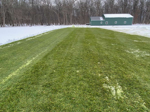Turf Farm Arlington.jpg