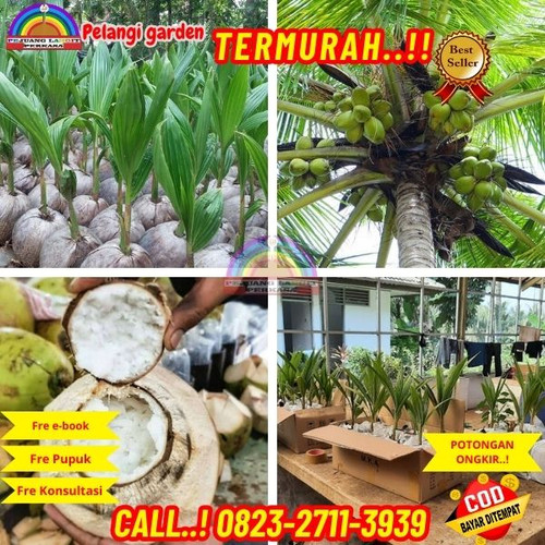 IMG 20231012 WA0036.jpg