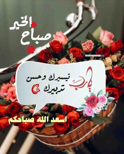 B0A3BEDB A284 4035 9595 9D4A7F037988.jpg