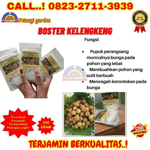 DICARI RESELLER! H.Tovix CALL 0823-2711-3939 Jual Obat Kelengkeng Cepat Buah ke Kebumen-Ambal-Pageda.jpg