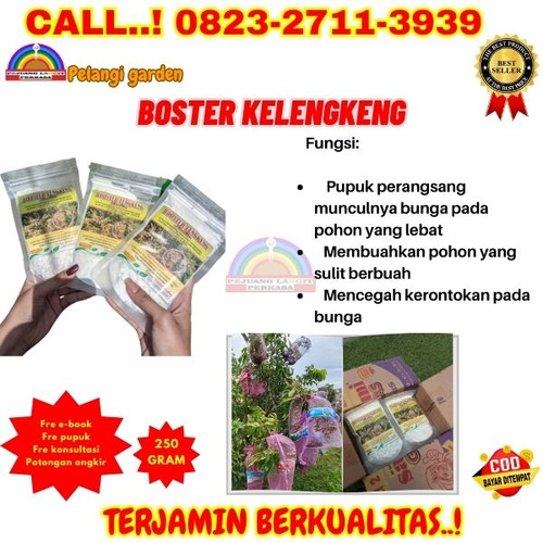 TERMURAH! H.Tovix CALL 0823-2711-3939 Jual Booster Kelengkeng Alami ke Kebumen-Ambal-Pasarsenen.jpg