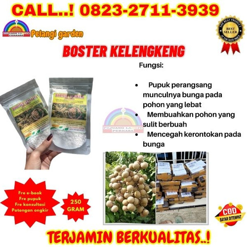 TERLARIS! H.Tovix CALL 0823-2711-3939 Jual Booster Kelengkeng Cair ke Kebumen-Ambal-Peneket.jpg