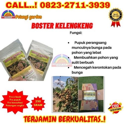 KARUNGAN! H.Tovix CALL 0823-2711-3939 Jual Obat Kelengkeng Biar Cepat Buah ke Kebumen-Ambal-Kradenan.jpg