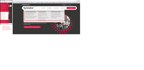 Symetra UI Issue1.png