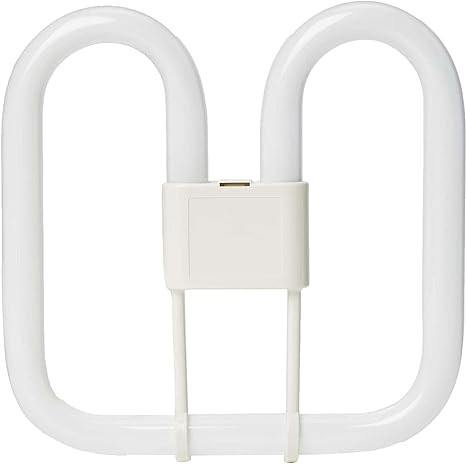 51XRsYflpuL. AC SX466 .jpg