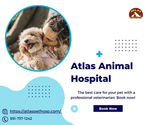 Atlas Animal Hospital Norco Atlas Pet Hospital.jpg
