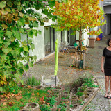 rita black jambie king