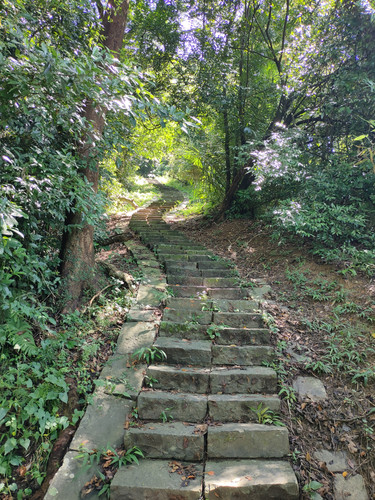 IMG20230916105704.jpg
