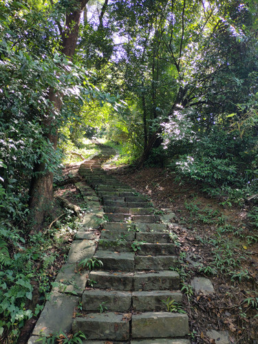 IMG20230916105711.jpg