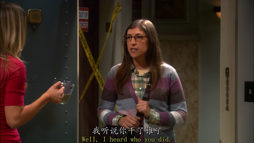 The Big Bang Theory S05E01 The Skank Reflex Analysis 1080p BluRay Remux AVC DTS HD MA Gamma.mkv 2023.png