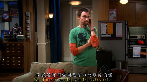 The Big Bang Theory S03E01 The Electric Can Opener Fluctuation 1080p BluRay Remux VC1 DD5.1 Gamma.mk.png
