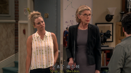 The Big Bang Theory S10E01 The Conjugal Conjecture 1080p BluRay Remux AVC DTS HD MA Gamma.mkv 202310.png