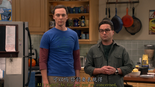 The Big Bang Theory S10E01 The Conjugal Conjecture 1080p BluRay Remux AVC DTS HD MA Gamma.mkv 202310.png