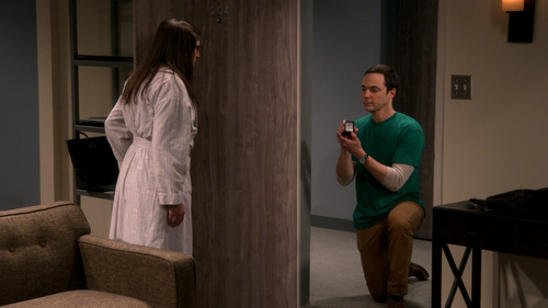 The Big Bang Theory S11E01 The Proposal Proposal 1080p BluRay Remux AVC DTS HD MA Gamma.mkv 20231011.png