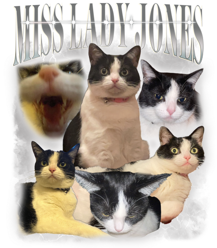 3036914941.png