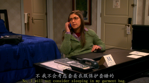 The Big Bang Theory S07E01 The Hofstadter Insufficiency 1080p BluRay Remux AVC DTS HD MA Gamma.mkv 2.png