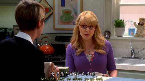 The Big Bang Theory S08E01 The Locomotion Interruption 1080p BluRay Remux AVC DTS HD MA Gamma.mkv 20.png