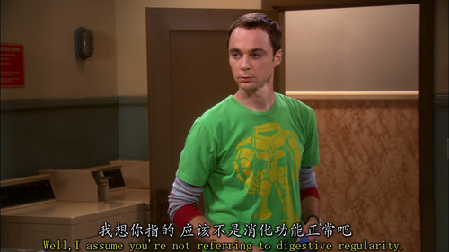 The Big Bang Theory S02E01 The Bad Fish Paradigm 1080p BluRay Remux AVC DTS HD MA Gamma.mkv 20231011.png