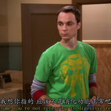 The Big Bang Theory S02E01 The Bad Fish Paradigm 1080p BluRay Remux AVC DTS HD MA Gamma.mkv 20231011