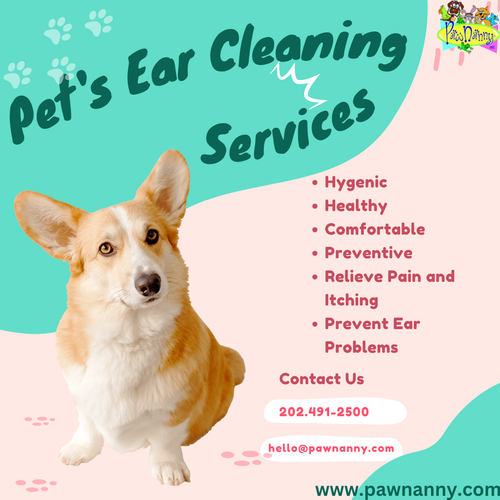 Pet's Ear Cleaning.png