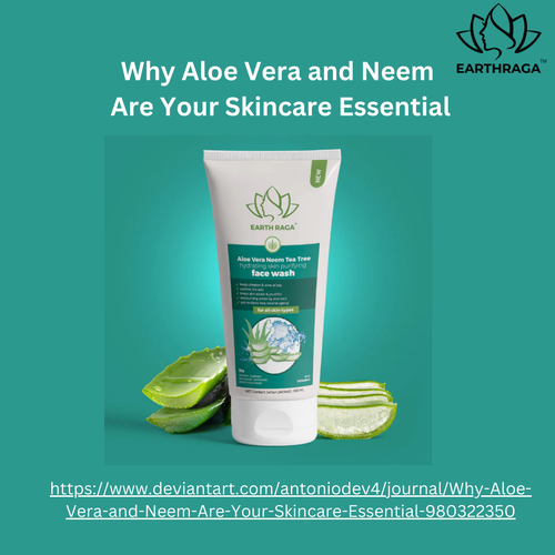 Why Aloe Vera and Neem Are Your Skincare Essential.png