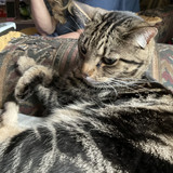 IMG 0370