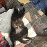 IMG 0356