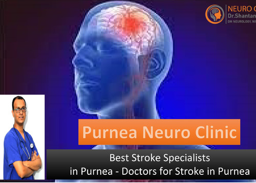 Best Stroke Specialists in Purnea Doctors for Stroke in Purnea.jpg