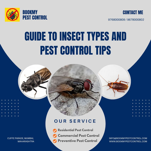 Guide to Insect Types and Pest Control Tips.jpg